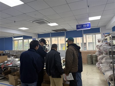 वैश्विक संबंधों को मजबूत करना: संयुक्त अरब अमीरात के प्रतिनिधियों द्वारा थर्मोकपल उत्पादों का ऑन-...